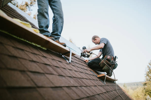 Best Local Roofing Companies  in The Pinery, CO